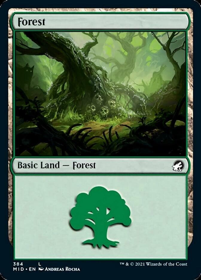 Forest (384) [Innistrad: Midnight Hunt] - Poke-Collect