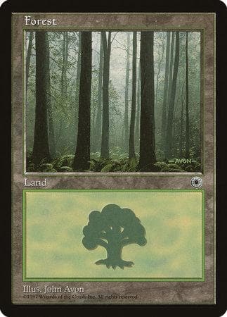 Forest (Ferns on Ground) [Portal] - Poke-Collect